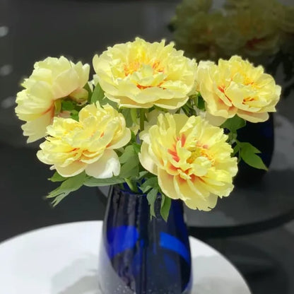 🔥🌺THE QUEEN OF FLOWERS—CHIKALABS DOUBLE PETALED PIANI