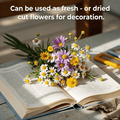 💝Mixed Wild Perennial Flowers Seeds-Over 60 Kinds Mixed