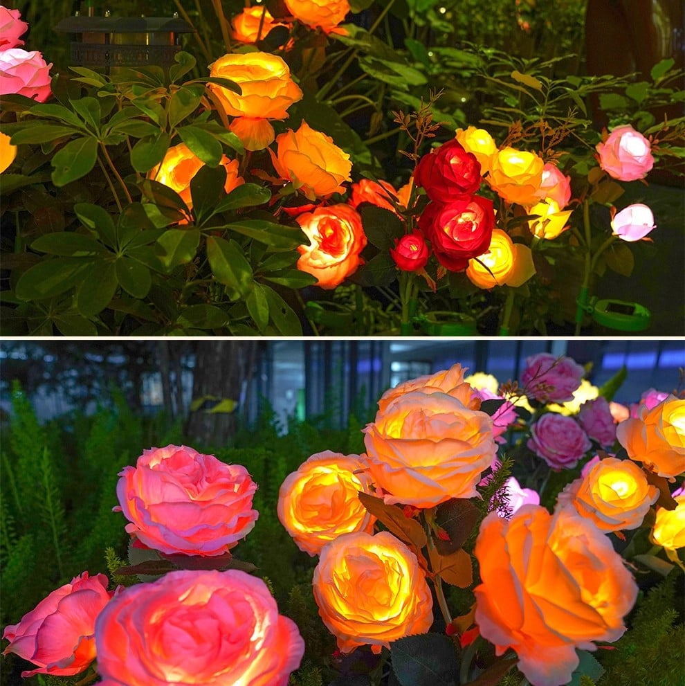 [🏆49% OFF]Chikalabs Garden Rose Solar Flower Stake Lights