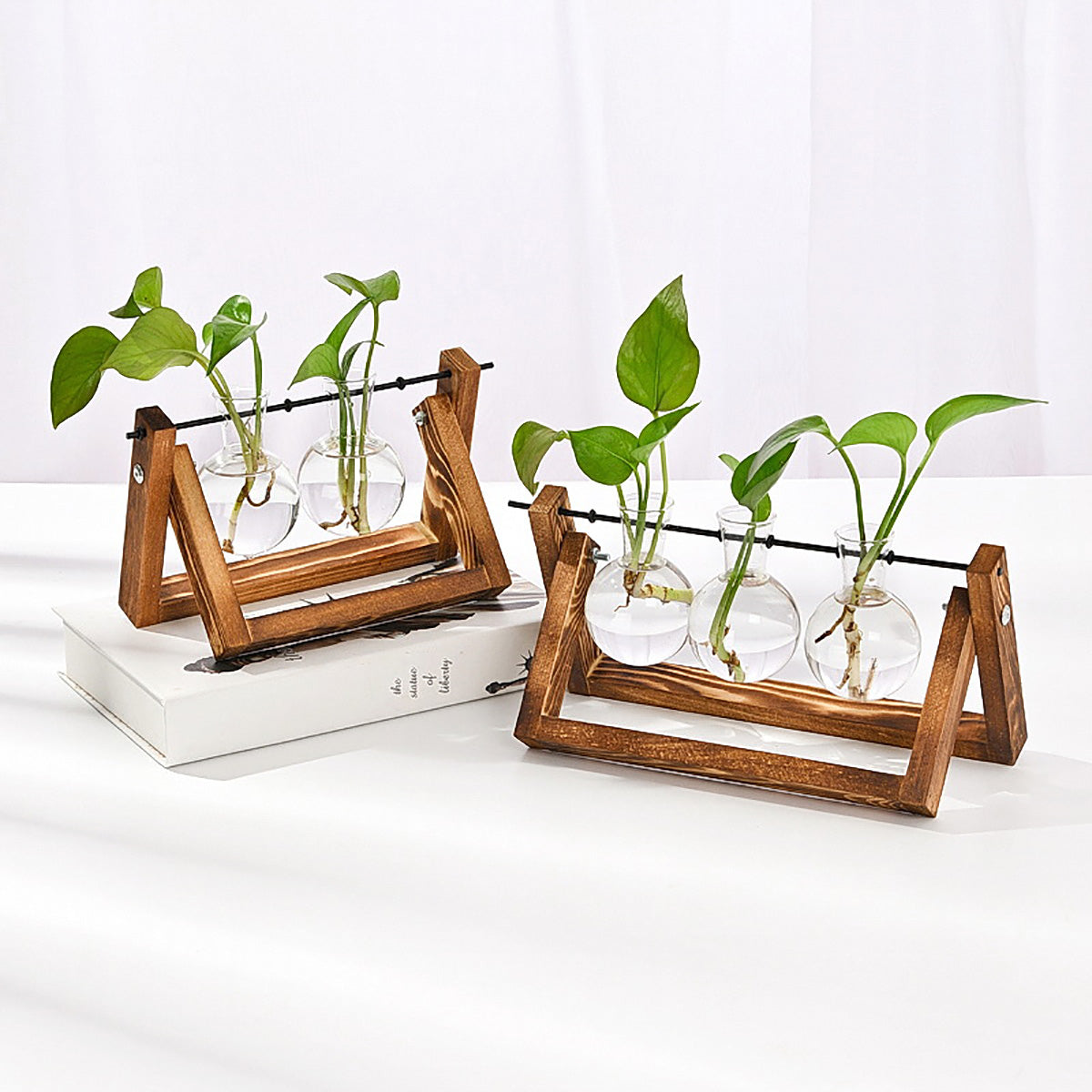 Chikalabs Plant Propagation Swing Stations Glass Terrarium