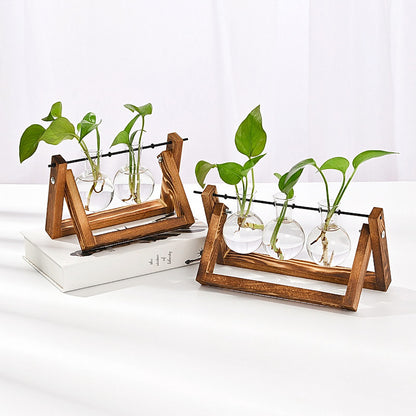 Chikalabs Plant Propagation Swing Stations Glass Terrarium