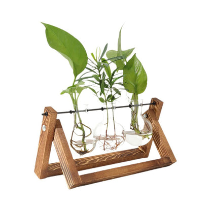 Chikalabs Plant Propagation Swing Stations Glass Terrarium