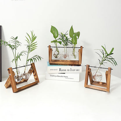 Chikalabs Plant Propagation Swing Stations Glass Terrarium