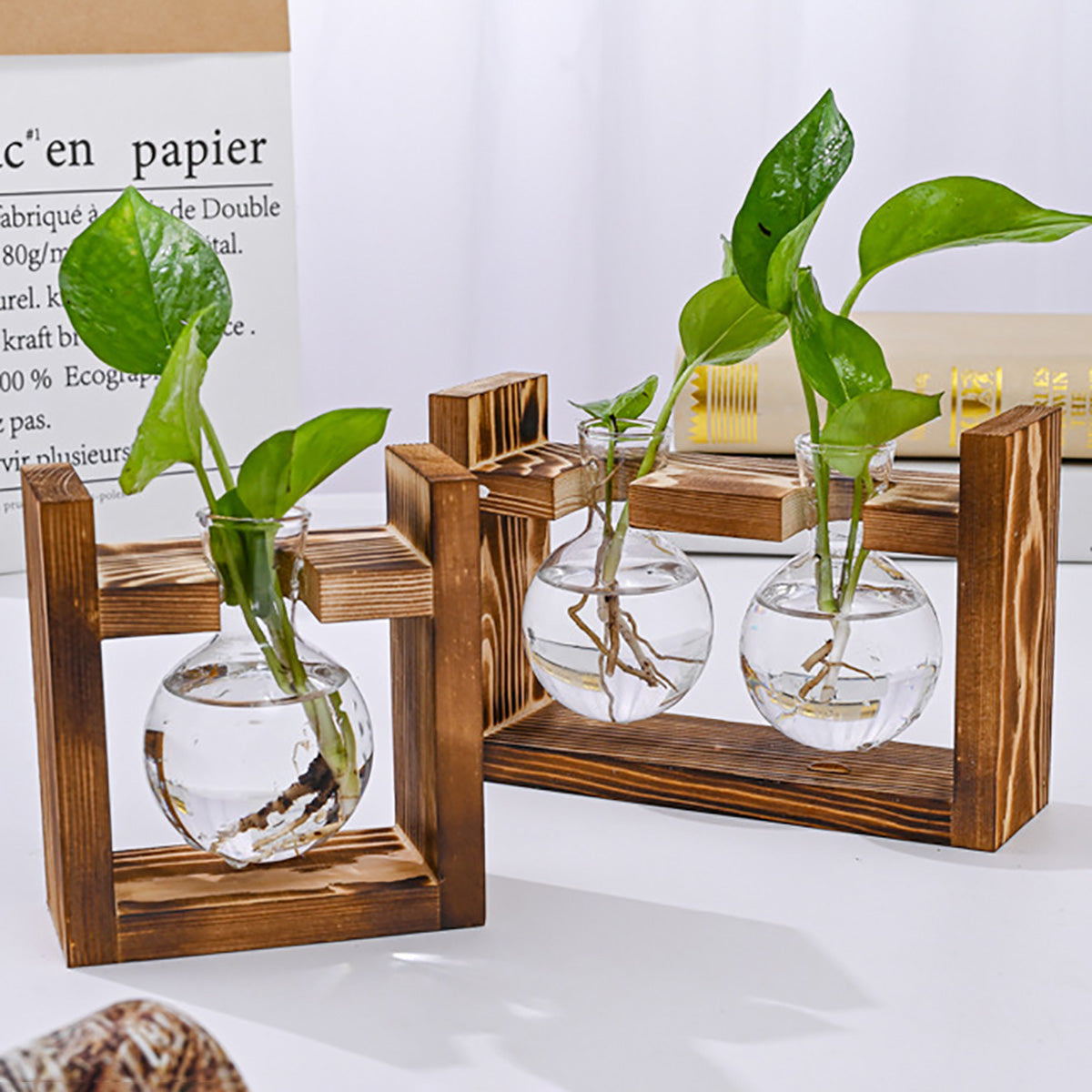 Chikalabs Plant Propagation Stations Glass Terrarium