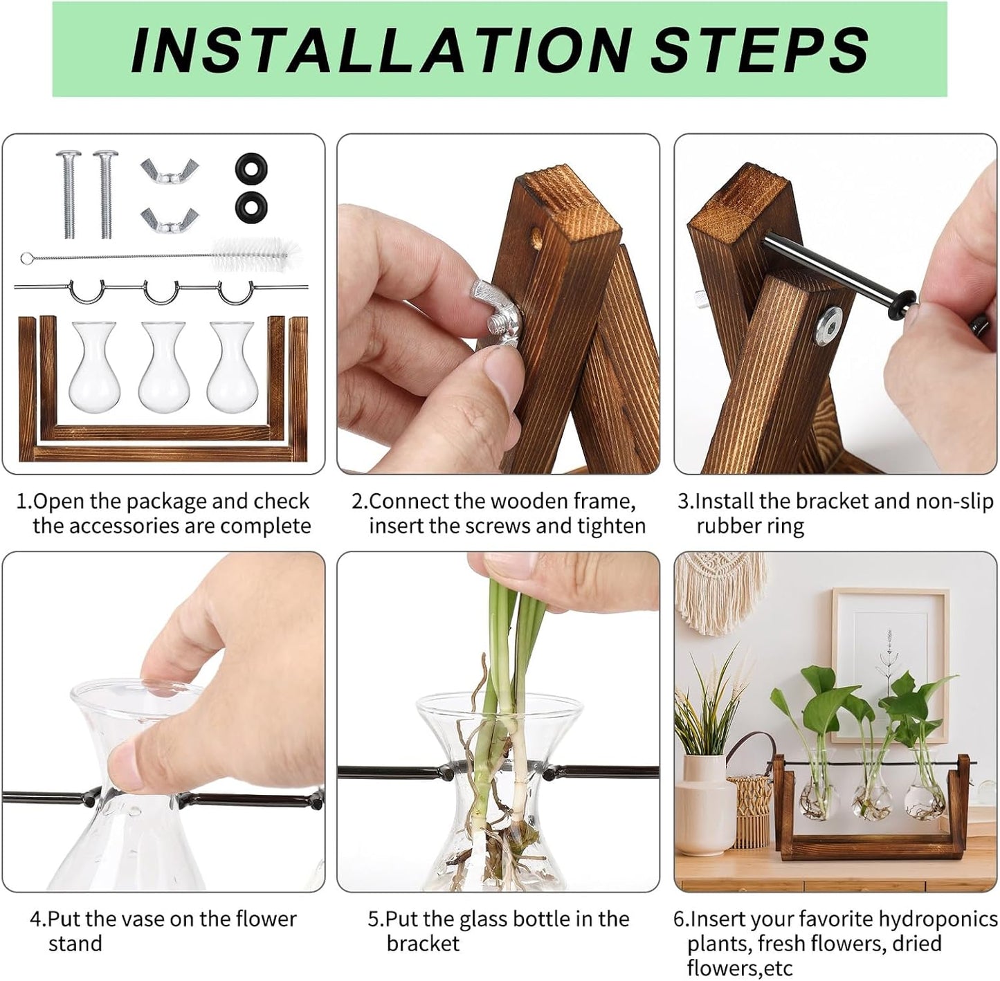 Chikalabs Plant Propagation Swing Stations Glass Terrarium