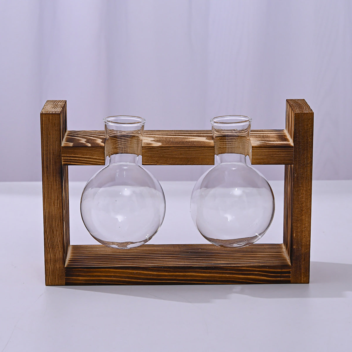 Chikalabs Plant Propagation Stations Glass Terrarium