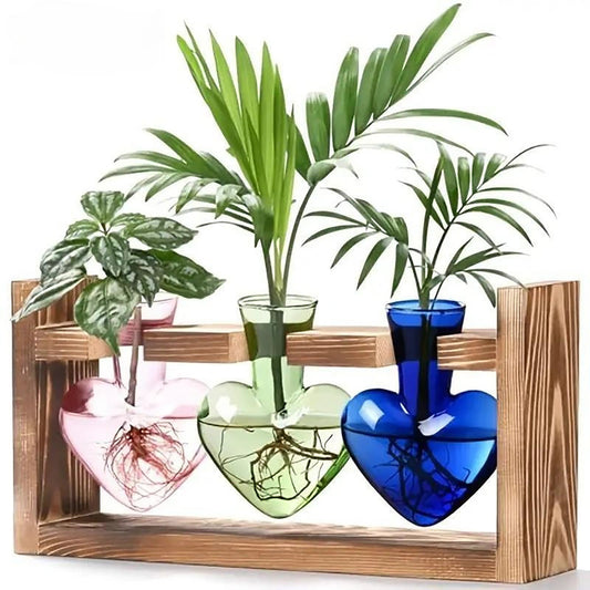 Chikalabs Colorful Plant Propagation Stations Glass Terrarium