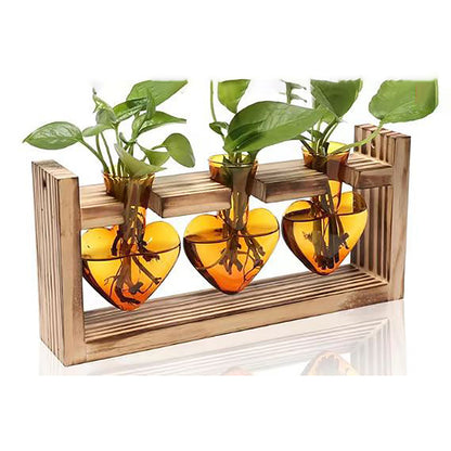 Chikalabs Brown Heart Plant Propagation Stations Glass Terrarium