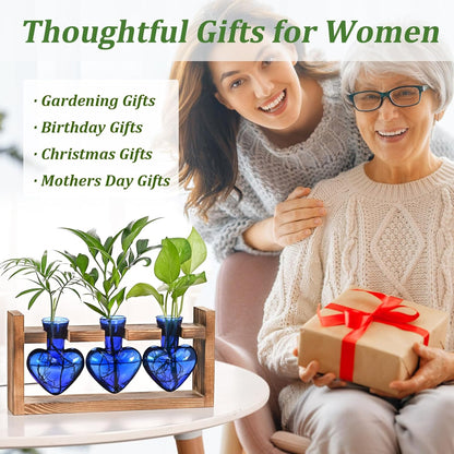 Chikalabs Blue Heart Plant Propagation Stations Glass Terrarium