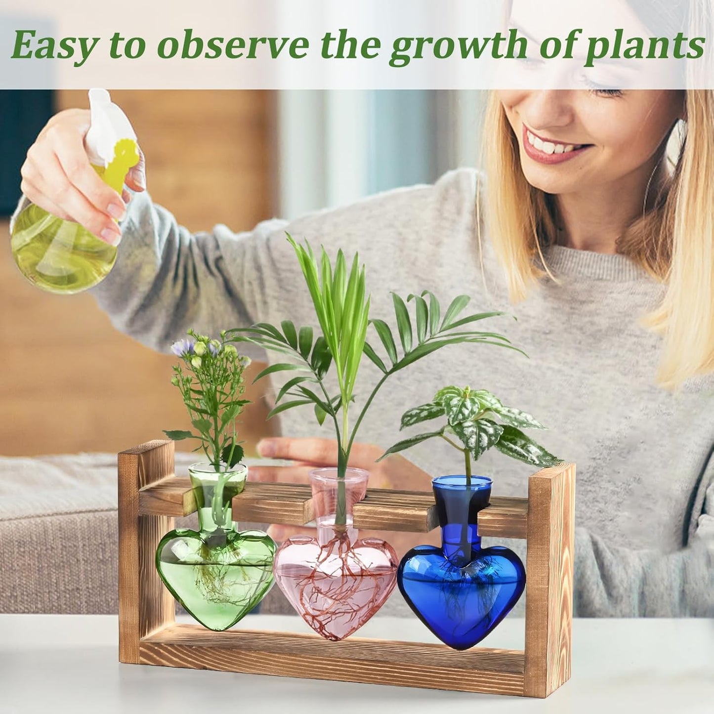 Chikalabs Colorful Plant Propagation Stations Glass Terrarium