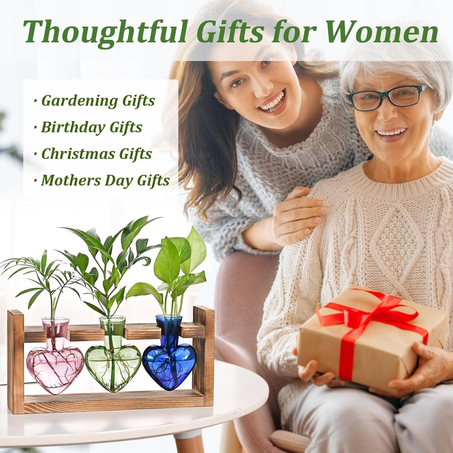 Chikalabs Colorful Plant Propagation Stations Glass Terrarium