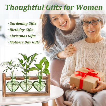 Chikalabs Green Heart Plant Propagation Stations Glass Terrarium