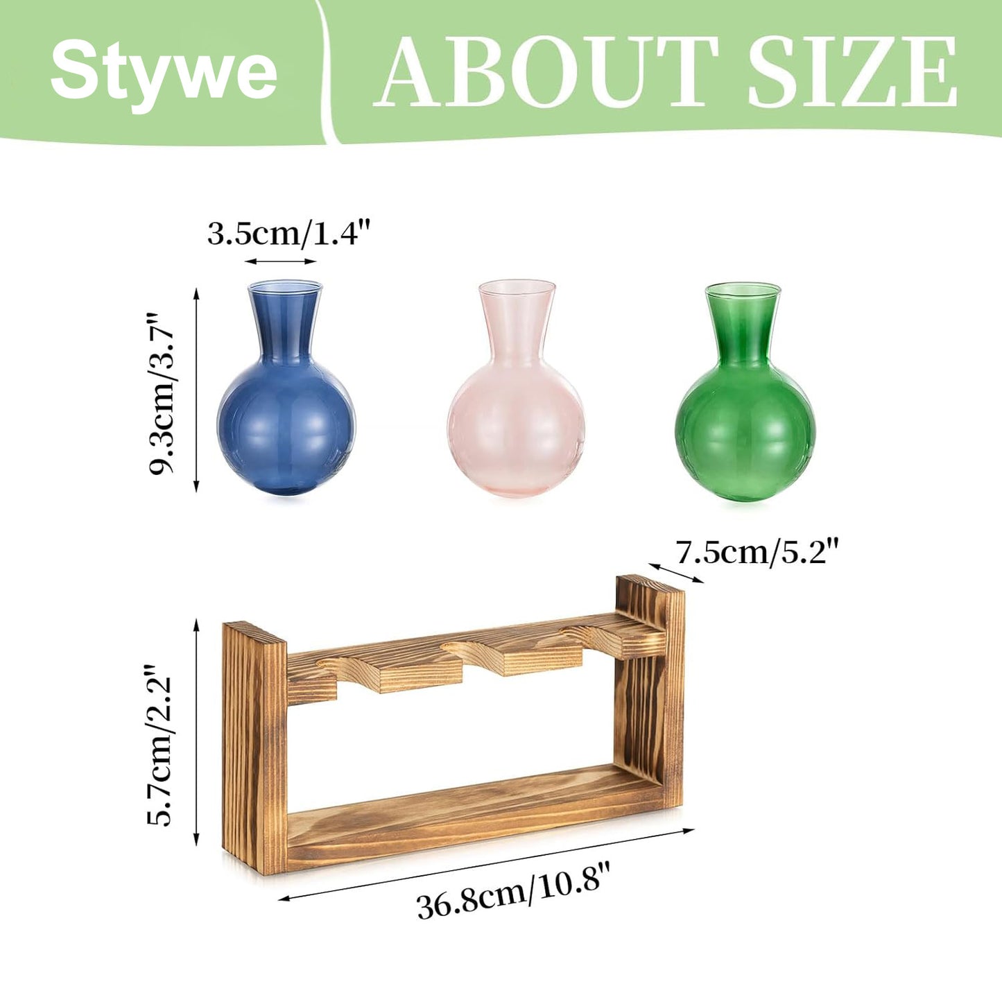 Chikalabs Round Bottle Plant Propagation Stations Glass Terrarium