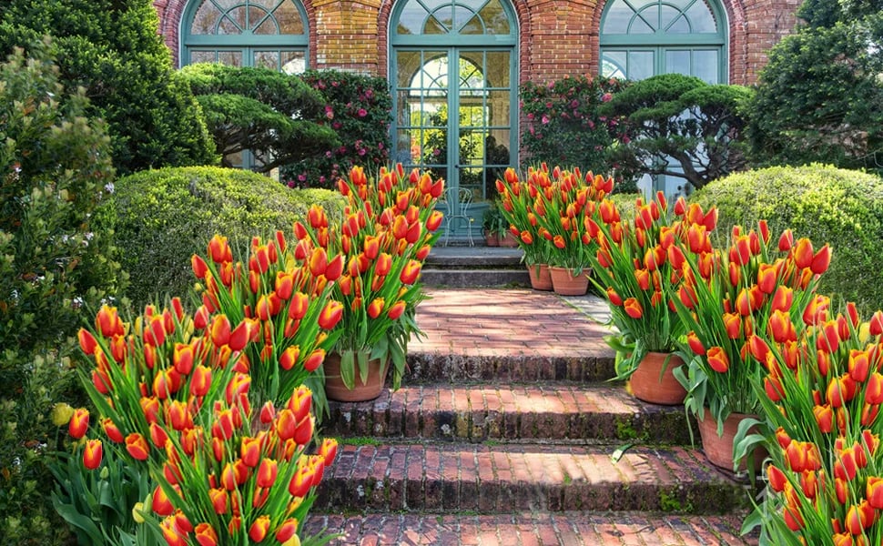 😍Chikalabs Garden Decor Artificial Tulips Flowers